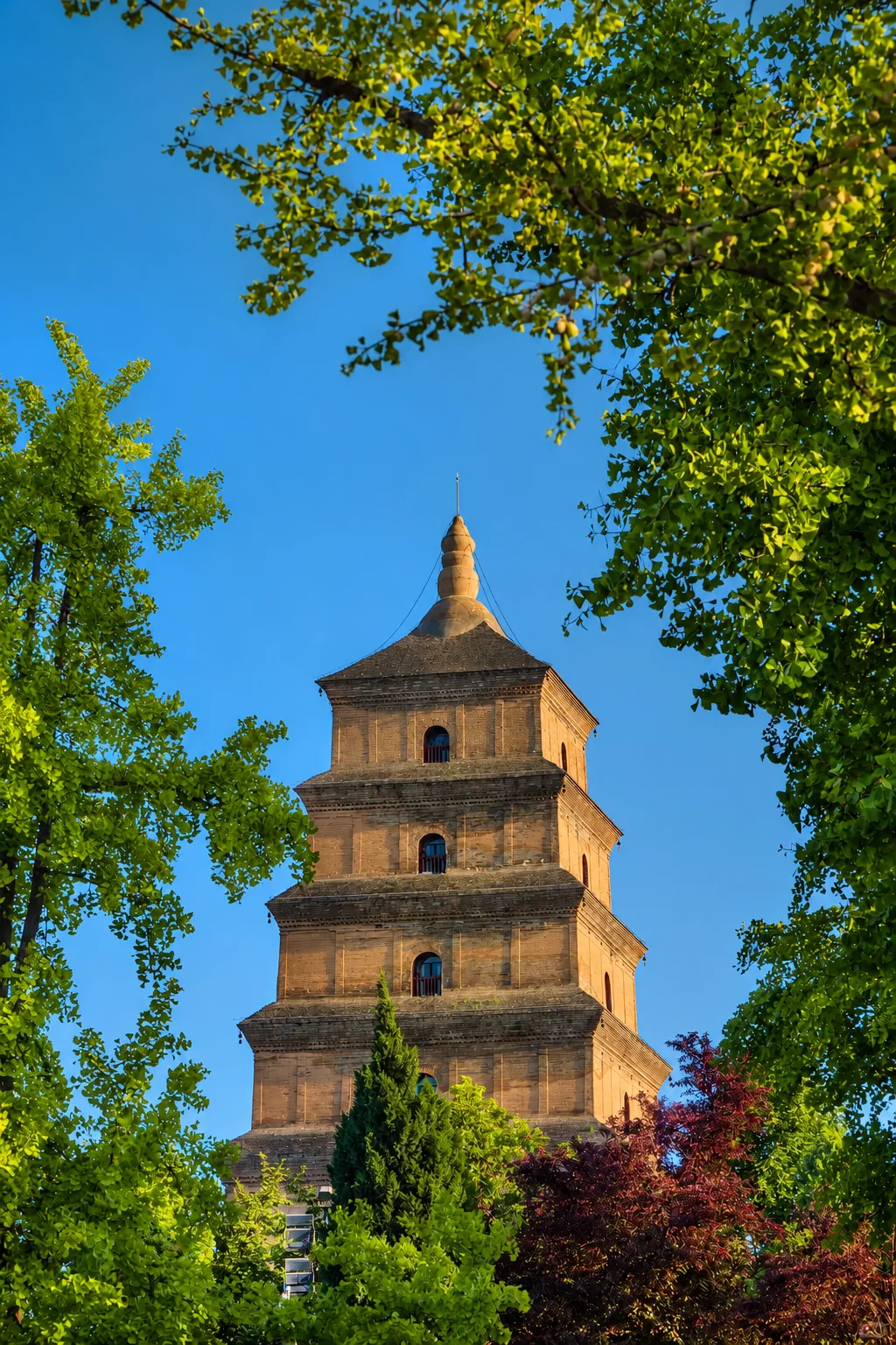 Pagoda del Ganso enmarcada por árboles en Xi’an